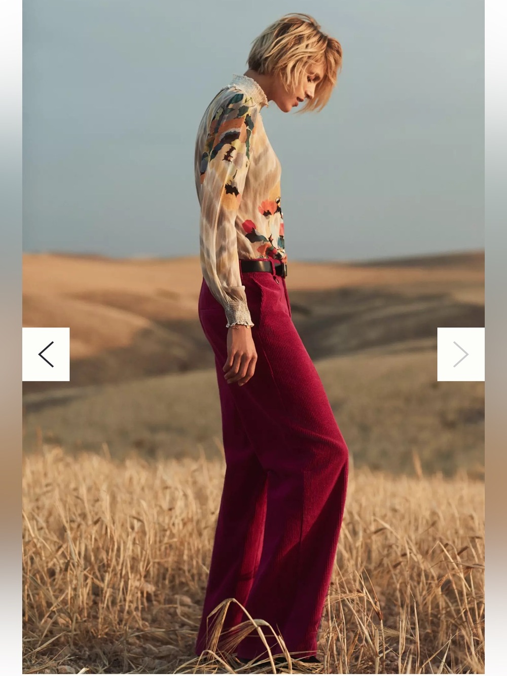 Anthropologie Wide-Wale Corduroy Trousers size 27 - Picture 5 of 6